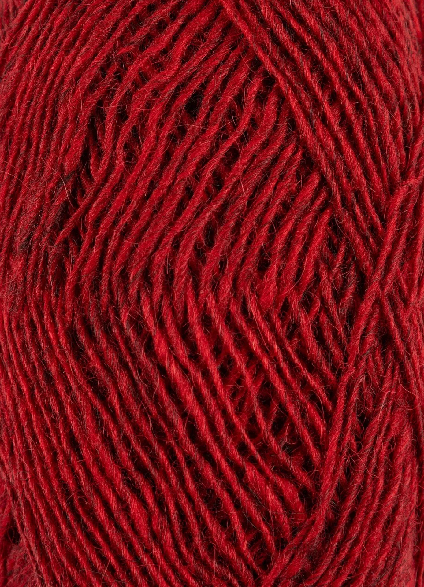 Fjallalopi #3061 - Currant
